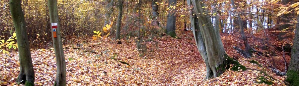 Copyright photo Kevin Mayne