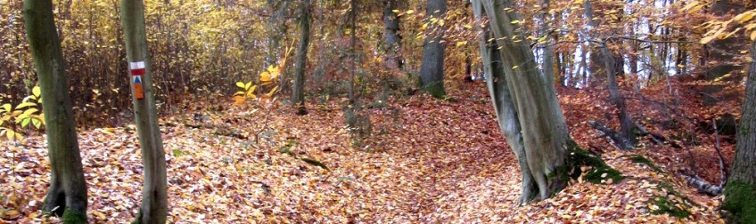 Copyright photo Kevin Mayne