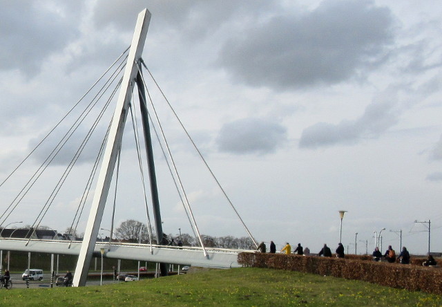 Copyright photo by Kevin Mayne