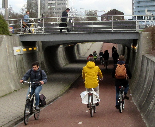 Copyright photo by Kevin Mayne