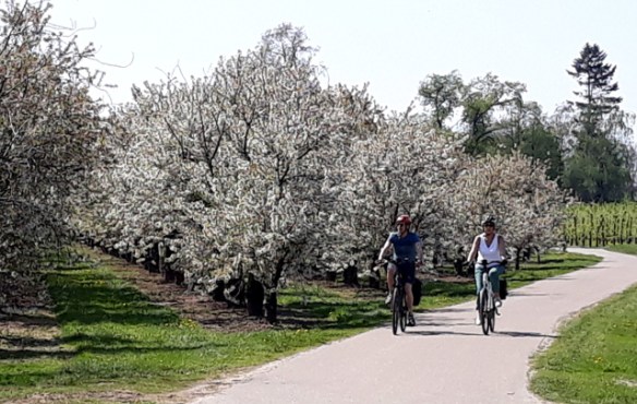 Copyright photo Kevin Mayne