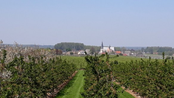 Copyright photo Kevin Mayne