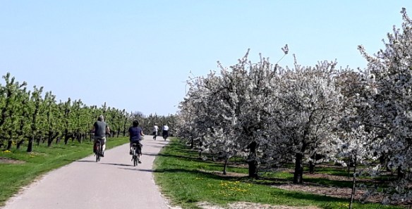 Copyright photo Kevin Mayne