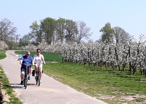 Copyright photo Kevin Mayne