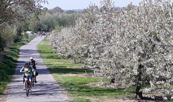 Copyright photo Kevin Mayne