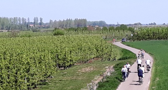 Copyright photo Kevin Mayne