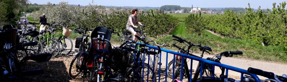 Copyright photo Kevin Mayne