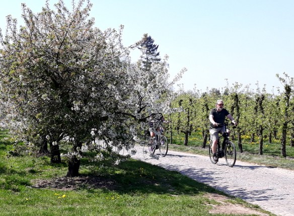 Copyright photo Kevin Mayne