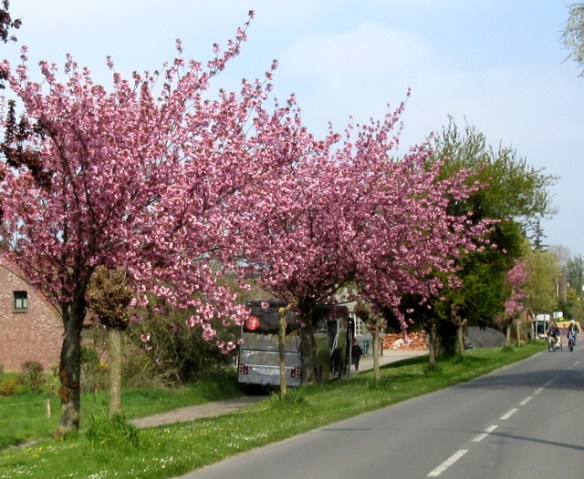 Copyright photo Kevin Mayne