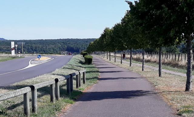 Copyright photo Kevin Mayne