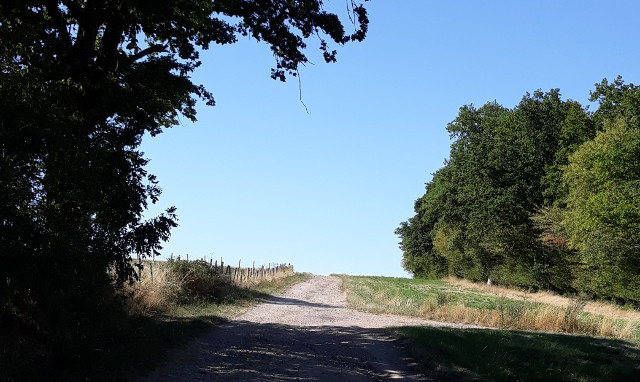 Copyright photo Kevin Mayne