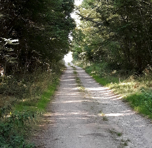 Copyright photo Kevin Mayne