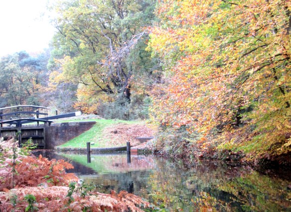 Copyright photo Kevin Mayne