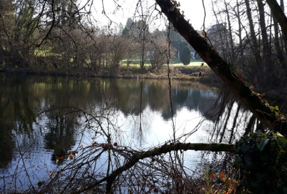 Copyright photo Kevin Mayne