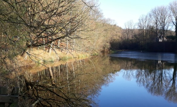 Copyright photo Kevin Mayne