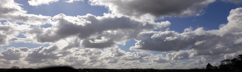 Copyright photo Kevin Mayne