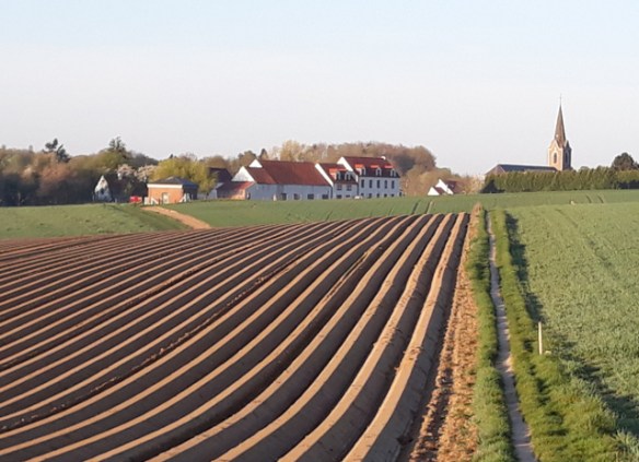 Copyright photo Kevin Mayne