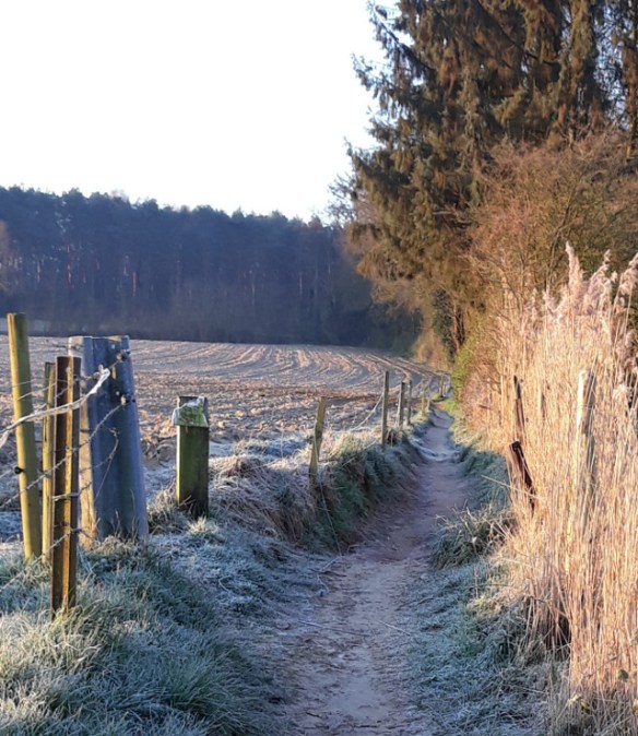 Copyright photo Kevin Mayne